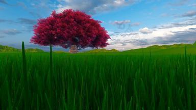 单红色的树绿色草地阳光明媚的一天